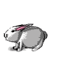 004_coniglietto.gif (9116 byte)