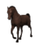005_cavallo.gif (16288 byte)