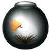 010_pesce.gif (5949 byte)