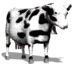 011_mucca.gif (7840 byte)