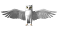 015_civetta.gif (10033 byte)