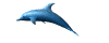 024_delfino.gif (7284 byte)