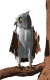 029_civetta.gif (4740 byte)